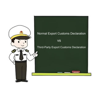 Explanation of Customs Declaration Methods
